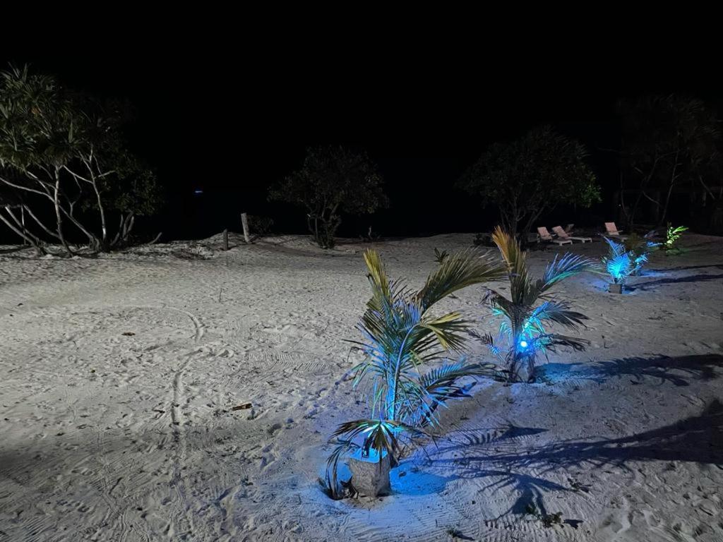 Jambo Beach Hotel Паже Екстериор снимка